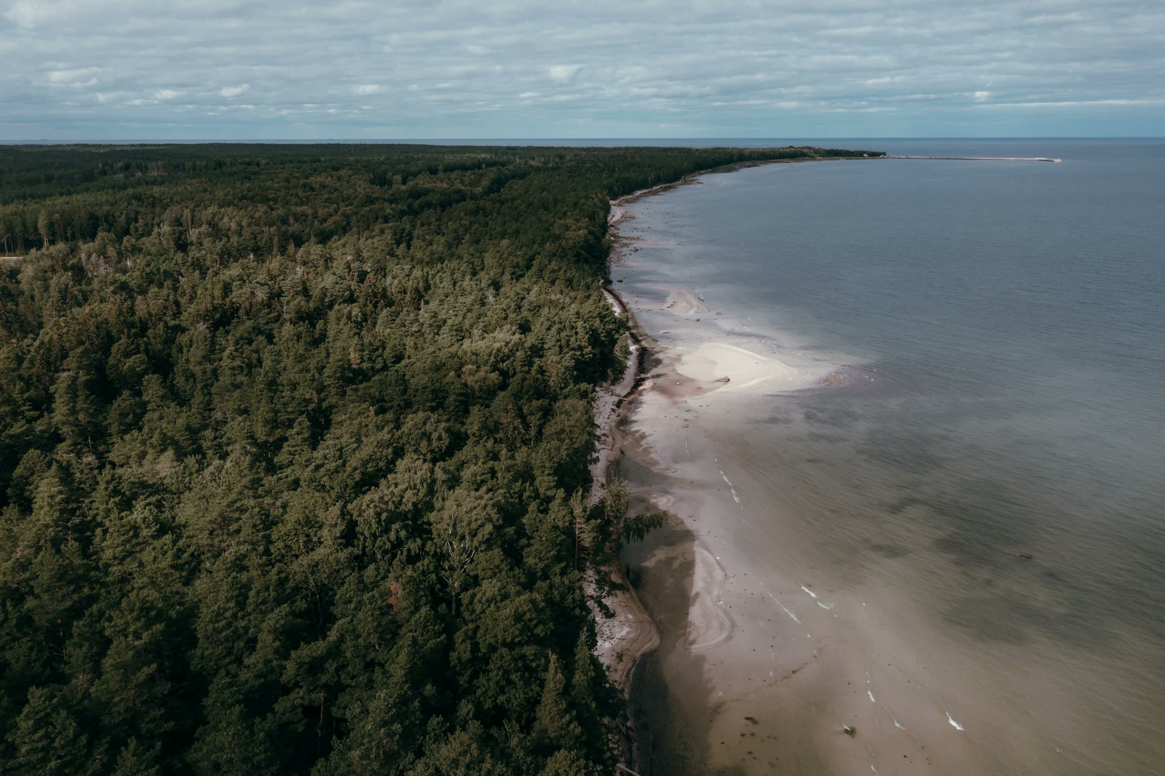 Eesti rannik ülalt — mets ja meri